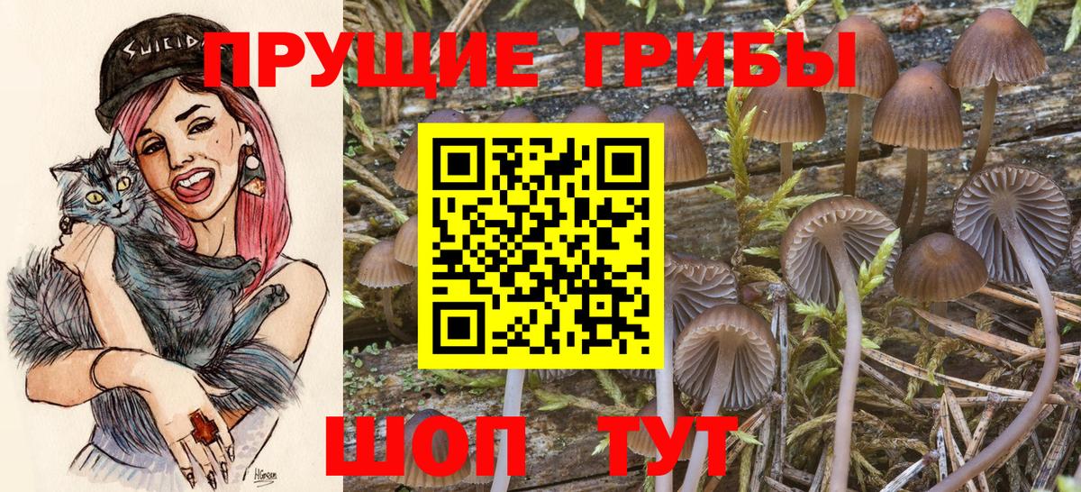 Псилоцибиновые грибы мухоморы Баксан